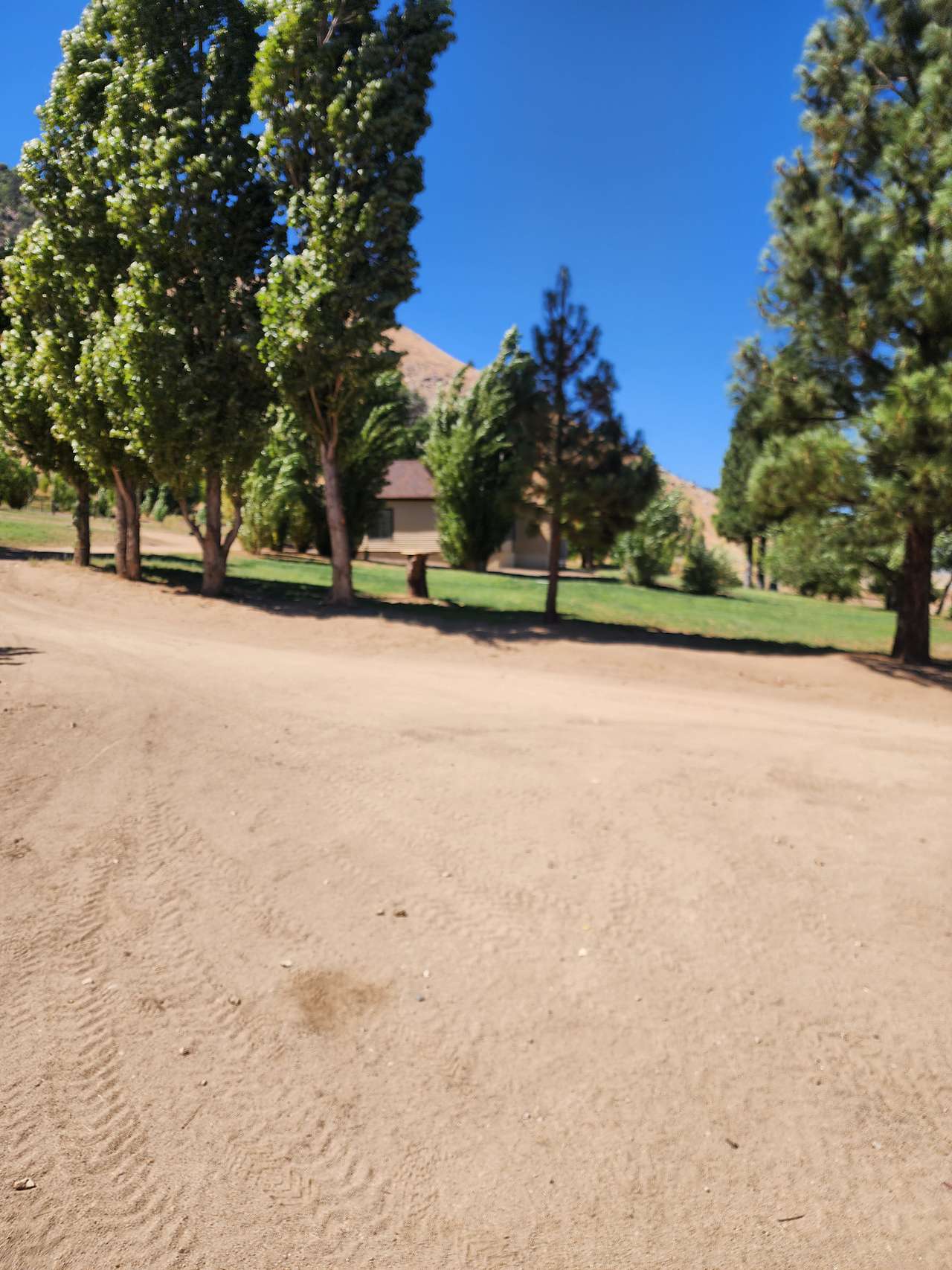 The 395 Ranch,  Seclusion & Views!