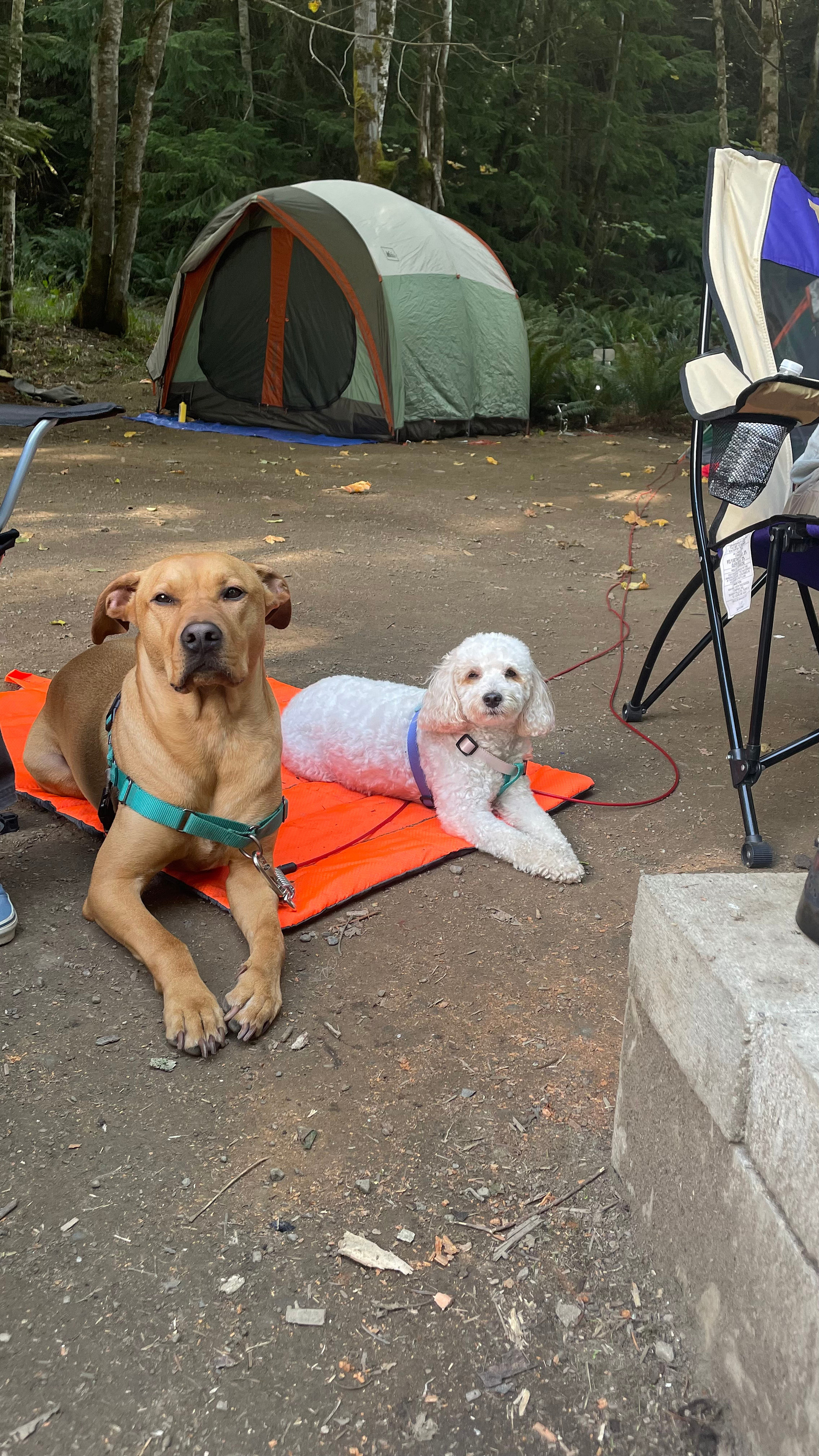Shadow Mountain RV & Campground