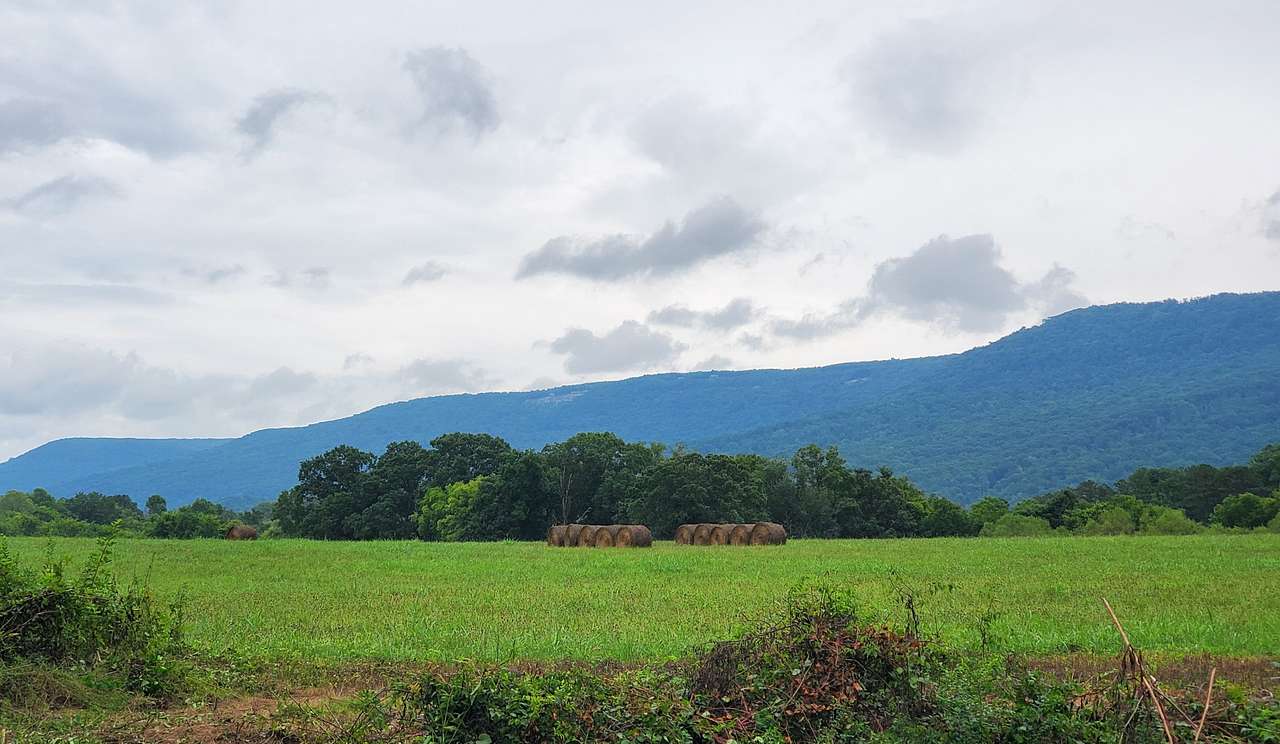 Mountain View RV Pad and Tent Site