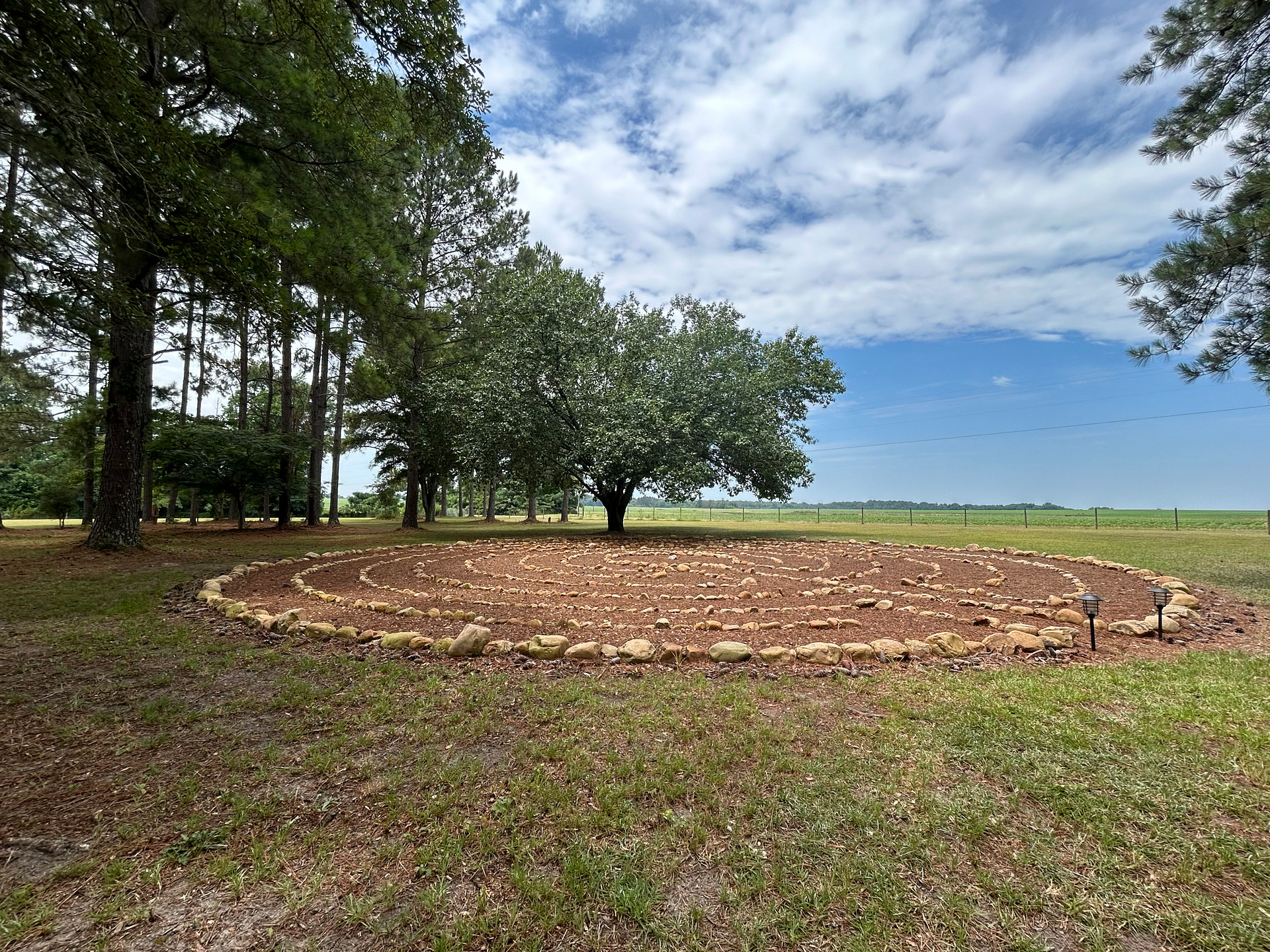 The Farm