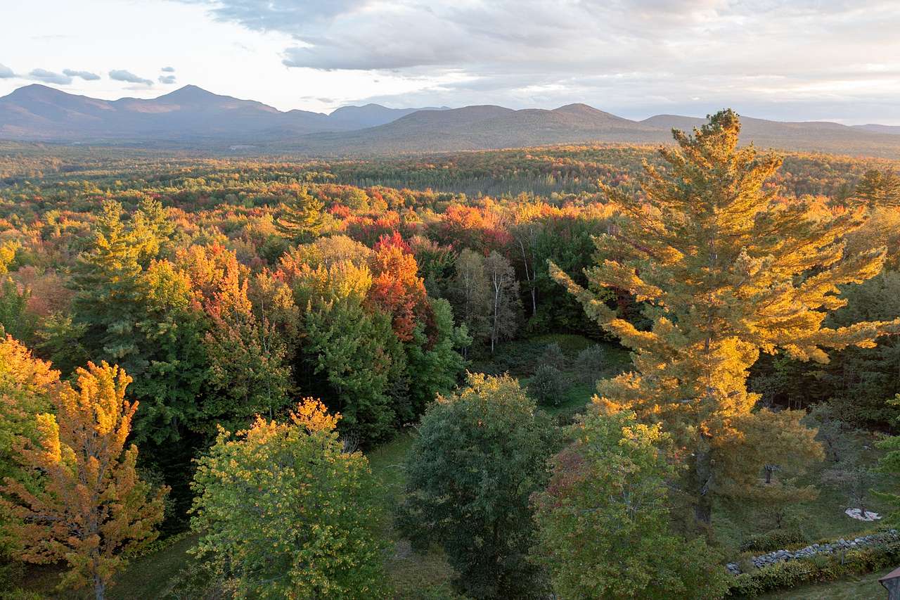 The conservation woodland in autumn
