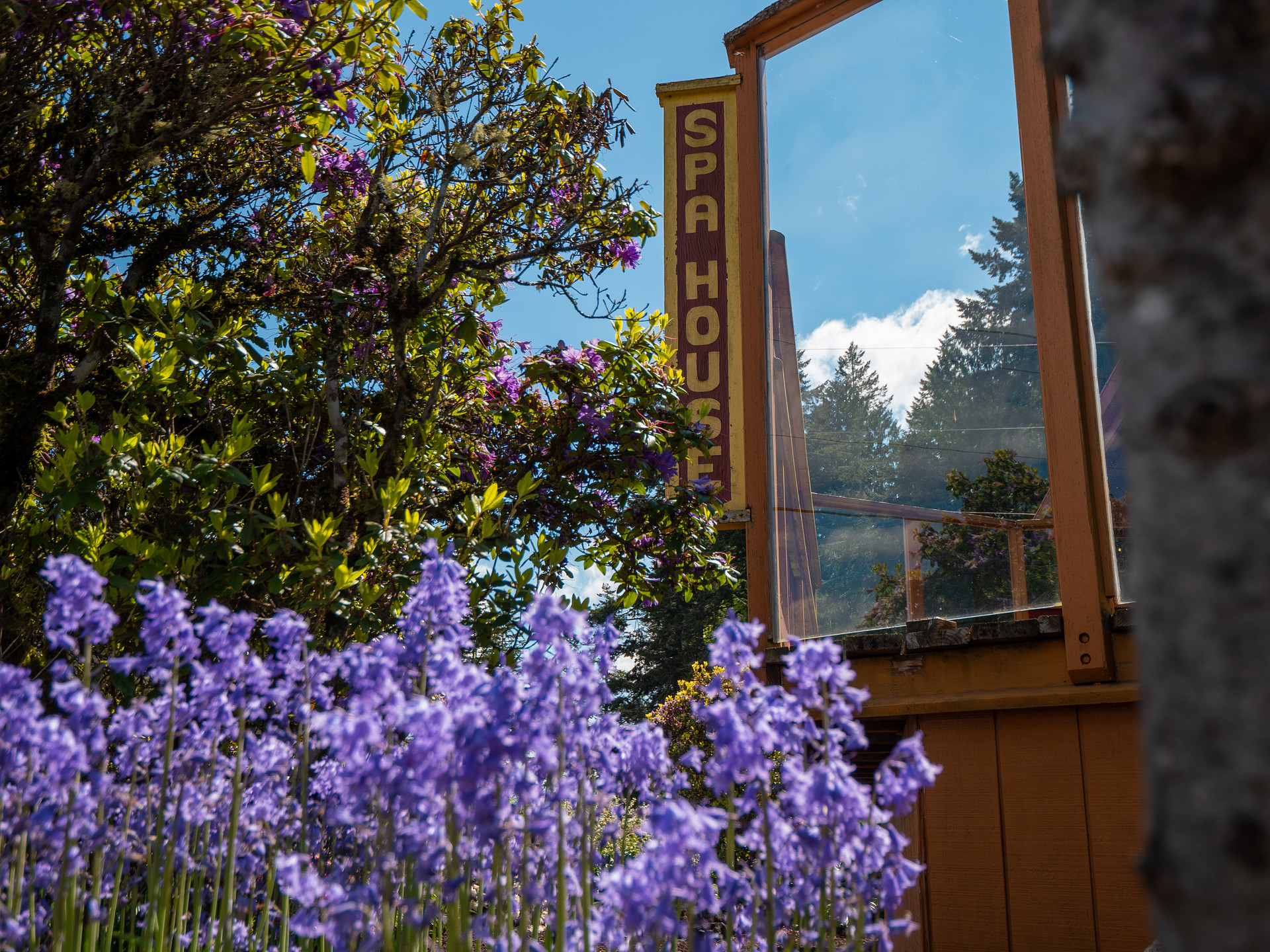 The Glen - Olympic Peninsula RV