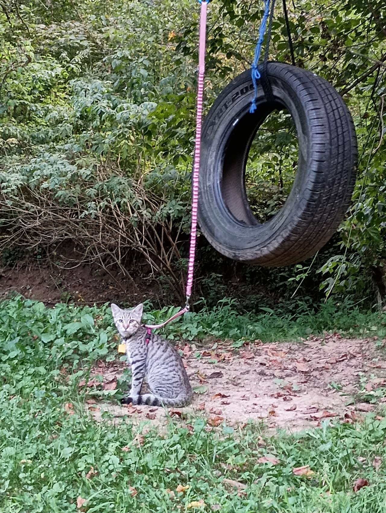 Out On The Creek Campground & RV