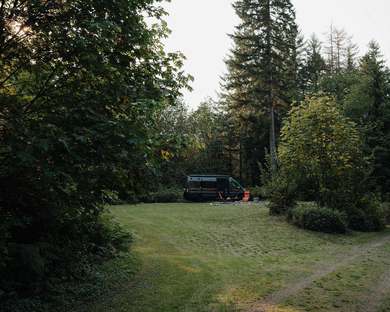 Moonsmoke Woods