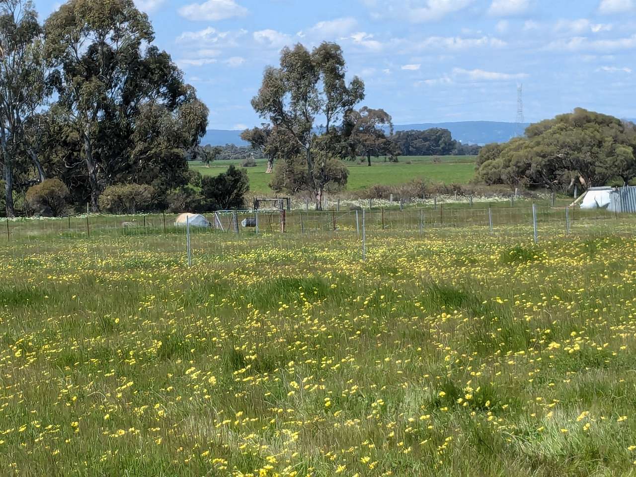 Mello Farm
