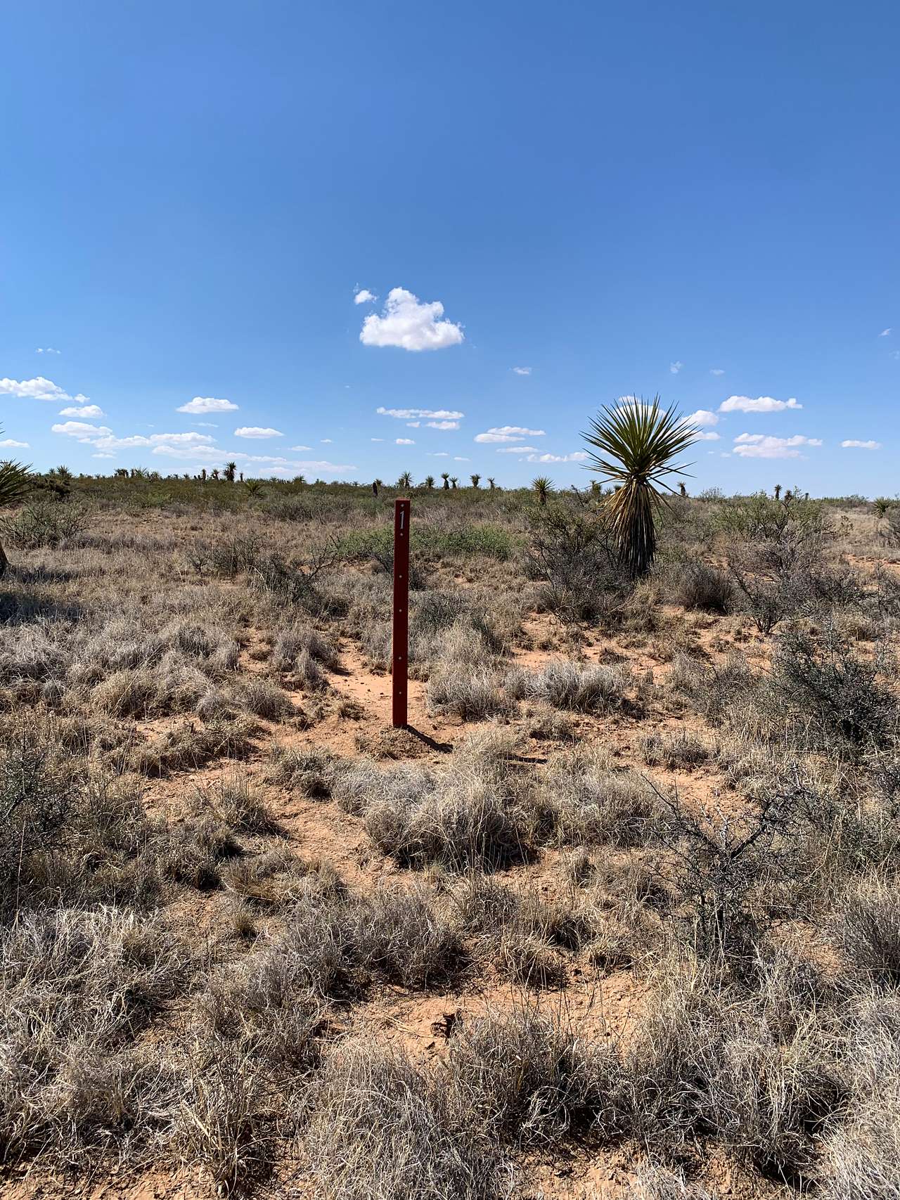 Summit Ranch