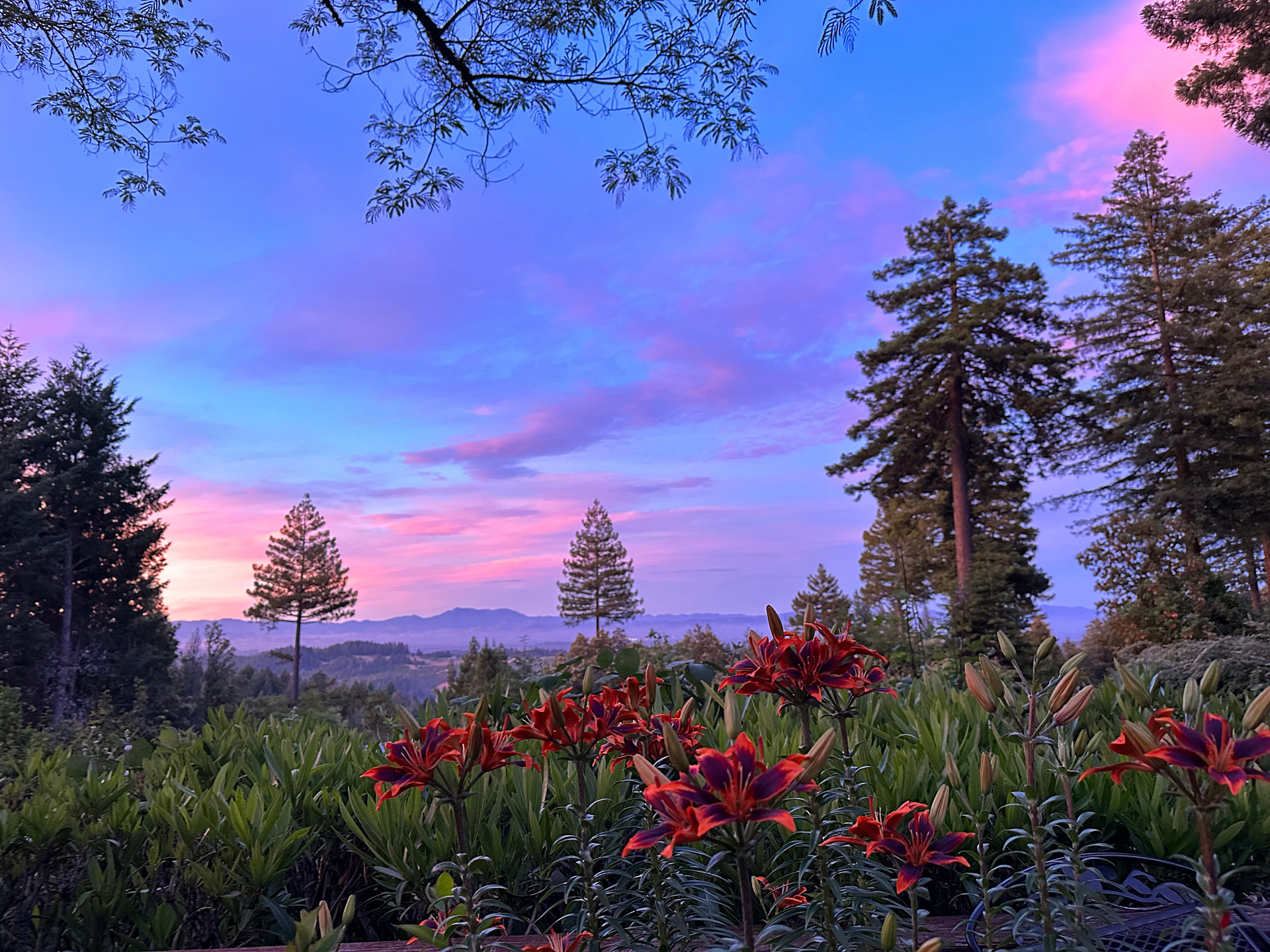 Views of Mount Saint Helena from the hot tub! 