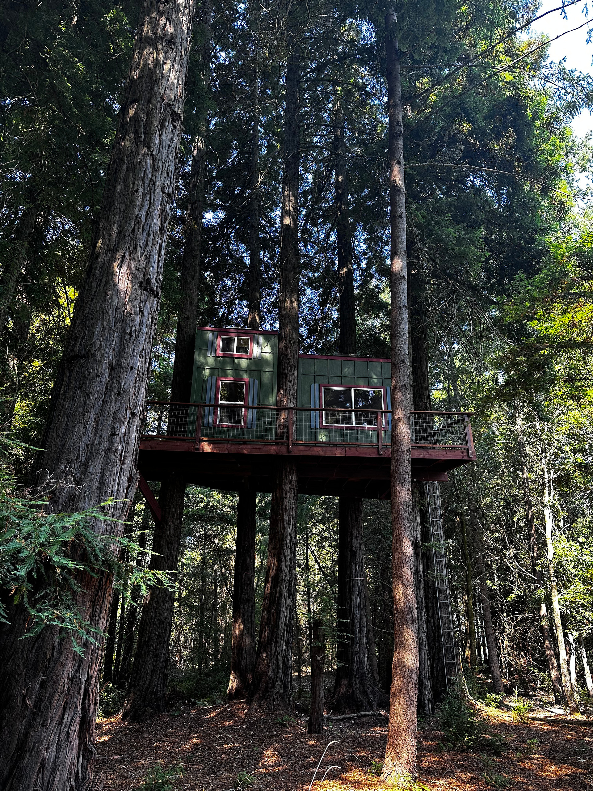 Redwood and knotty pine hand crafted 31' high tree cabin accessible by ladder only for those 18 years and older. There is a portable toilet on the wraparound deck and an electric luggage lift to get your gear up there safely. It has power and heat and a coffee maker, mini fridge, coffee, and tea. Also some cozy hooded rubs to make your way down to the hot tub in.