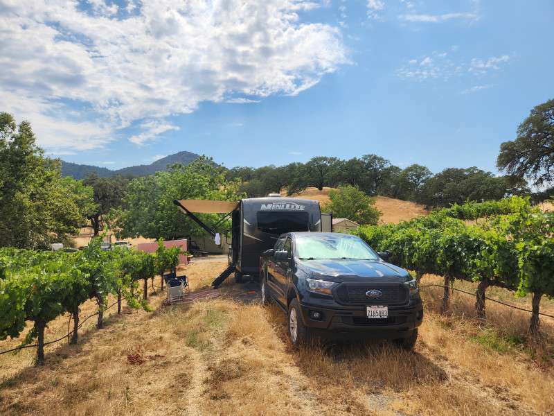 Vineyard Camping in Hopland
