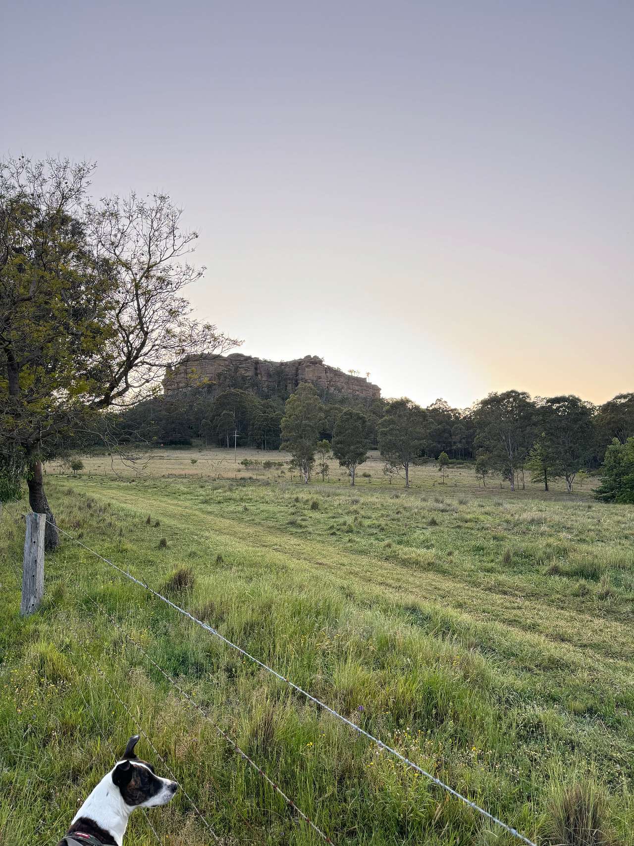Castlerock Camp