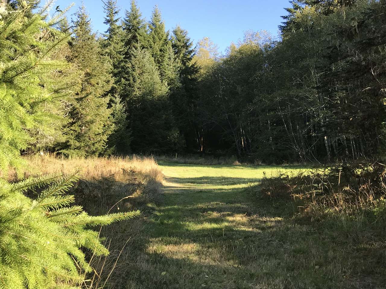 The Old Farm