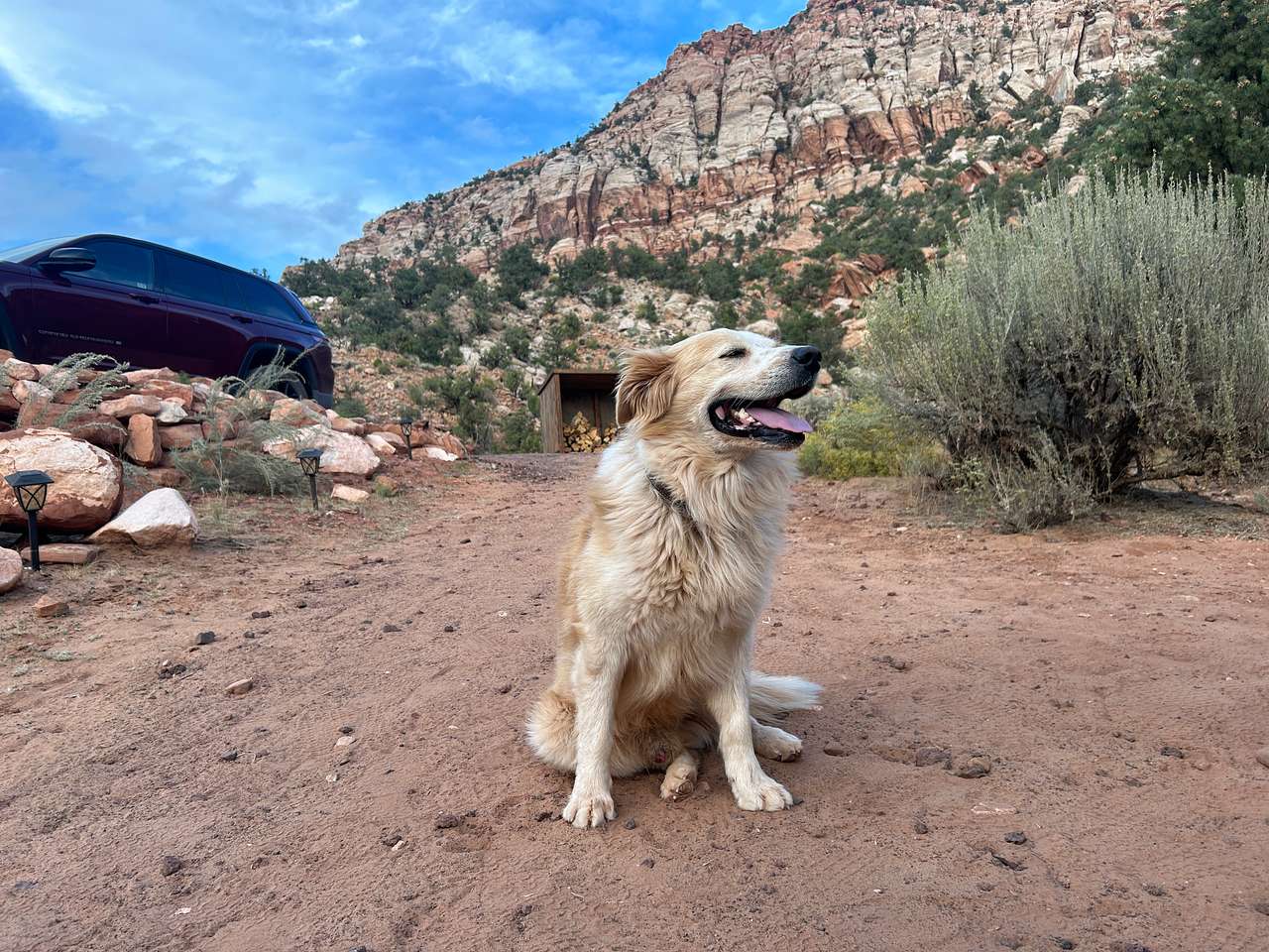 Zion View Camping