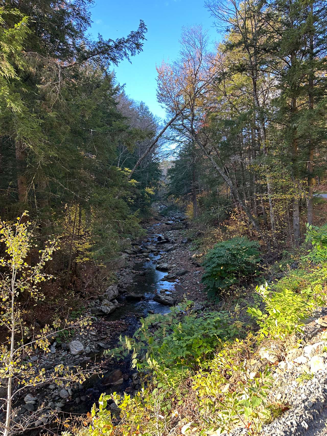 Between The Brooks Farm