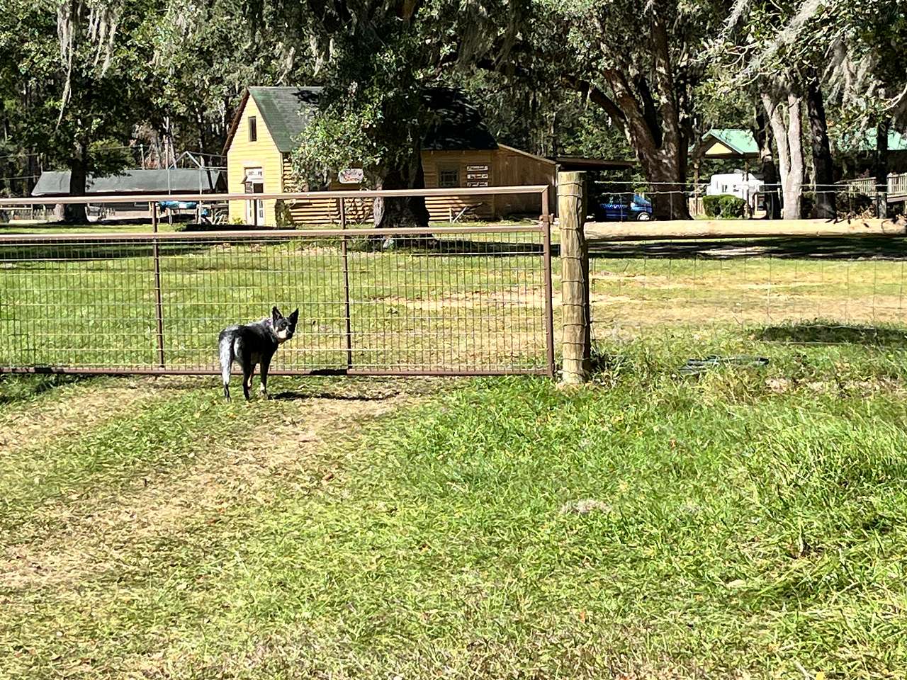 Golden Acres Ranch