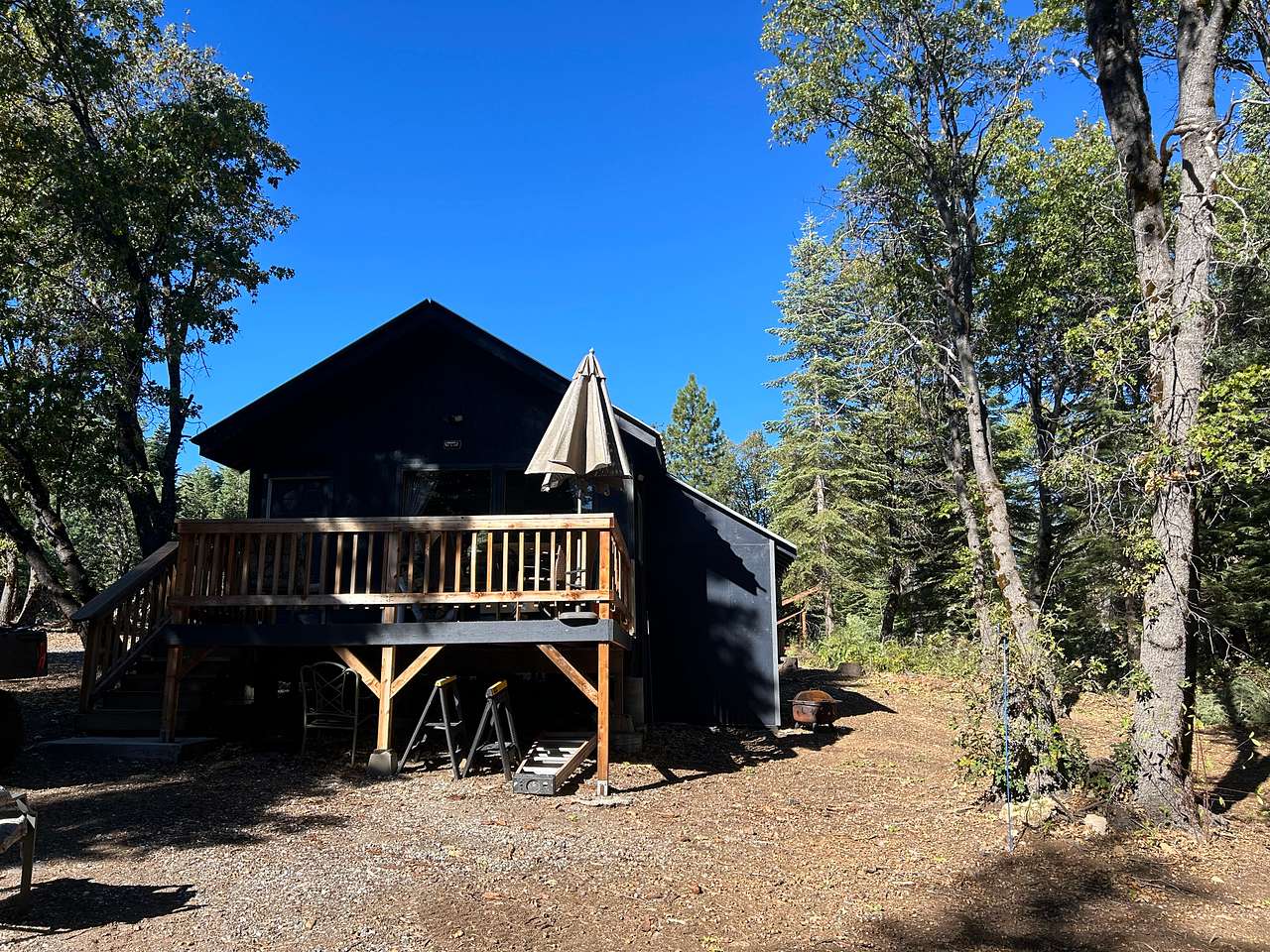 Lazy Bear Cabin