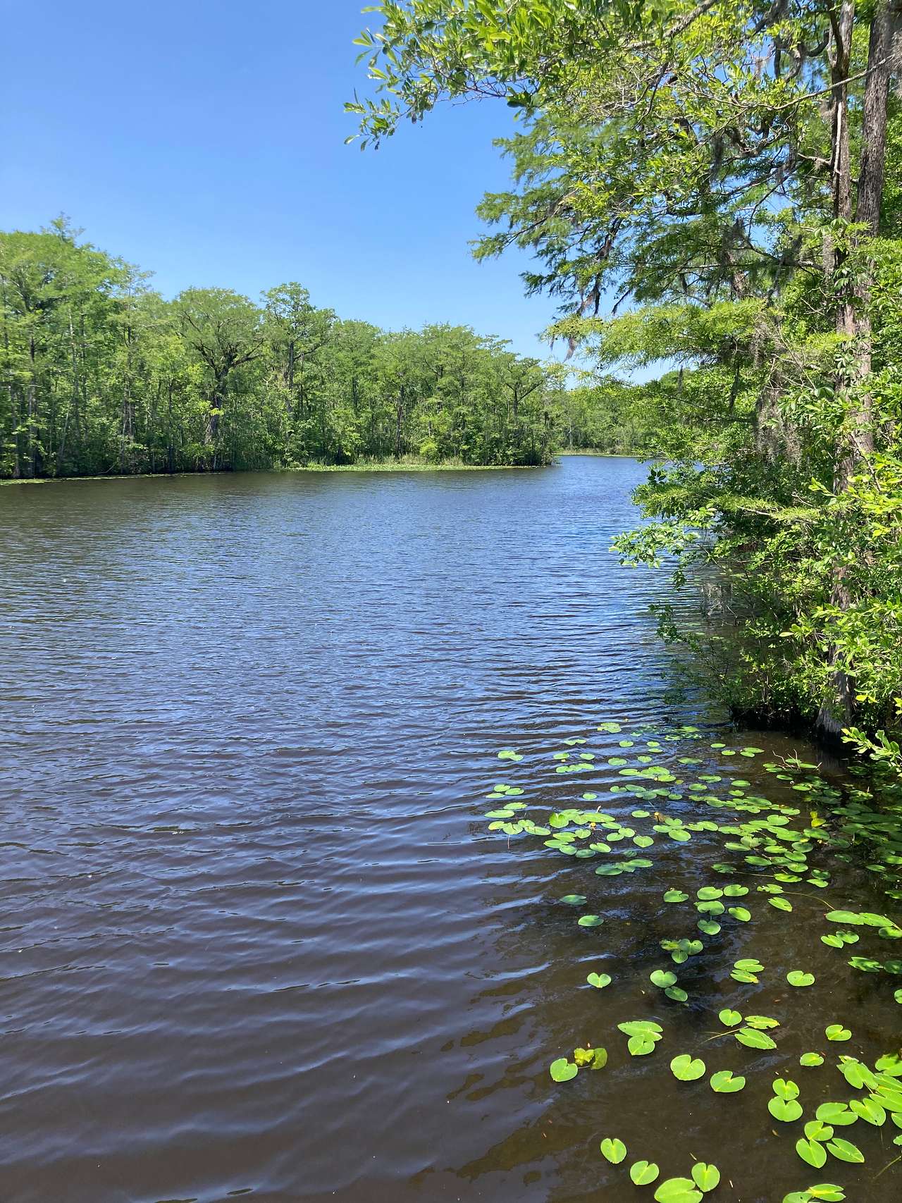 Arrowhead Reserve At River’s Edge