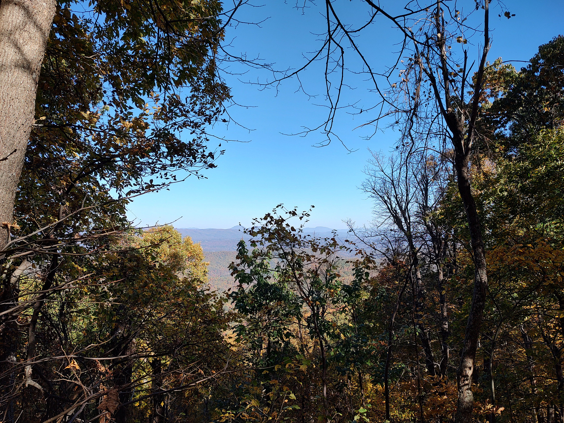 The view from Wildcat Mountain Trail. Don't try to hike the whole trail unless you're in pretty darn good physical condition!