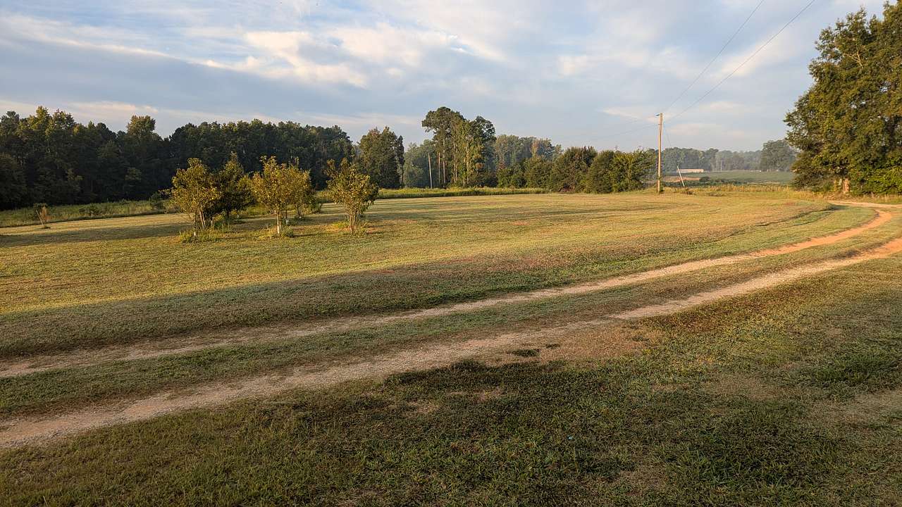 Hidden Crick Farms