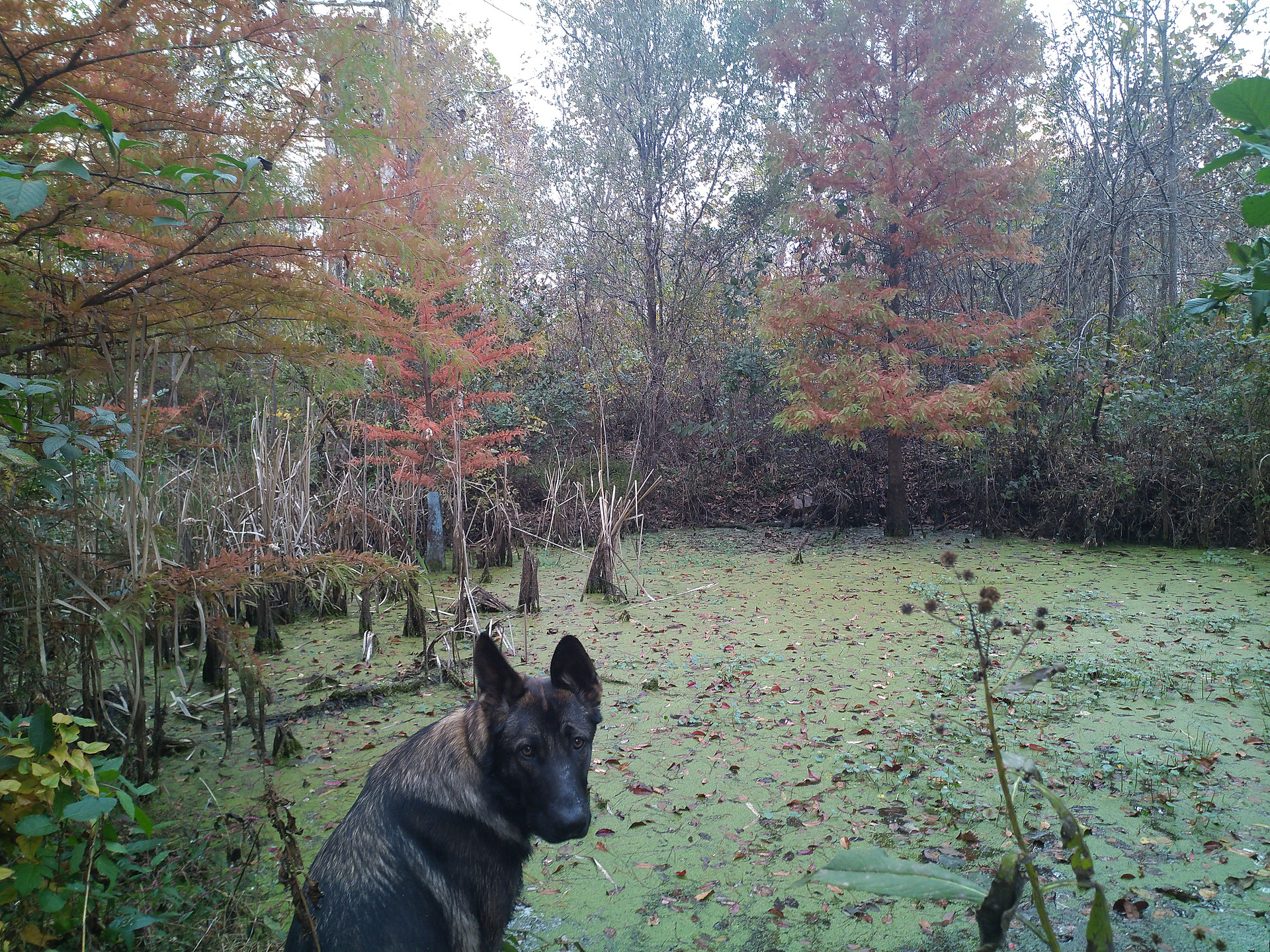Stoney Creek Campground