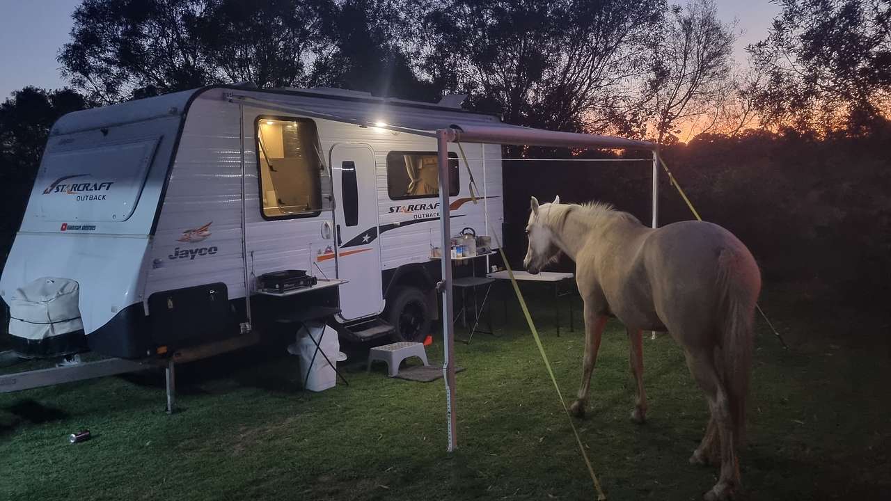 Lowood Nature Camp