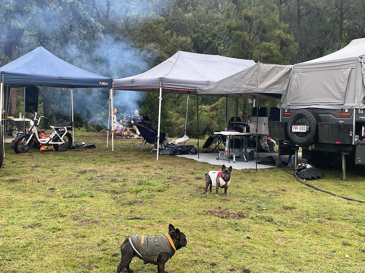Sarabah Creek Camping