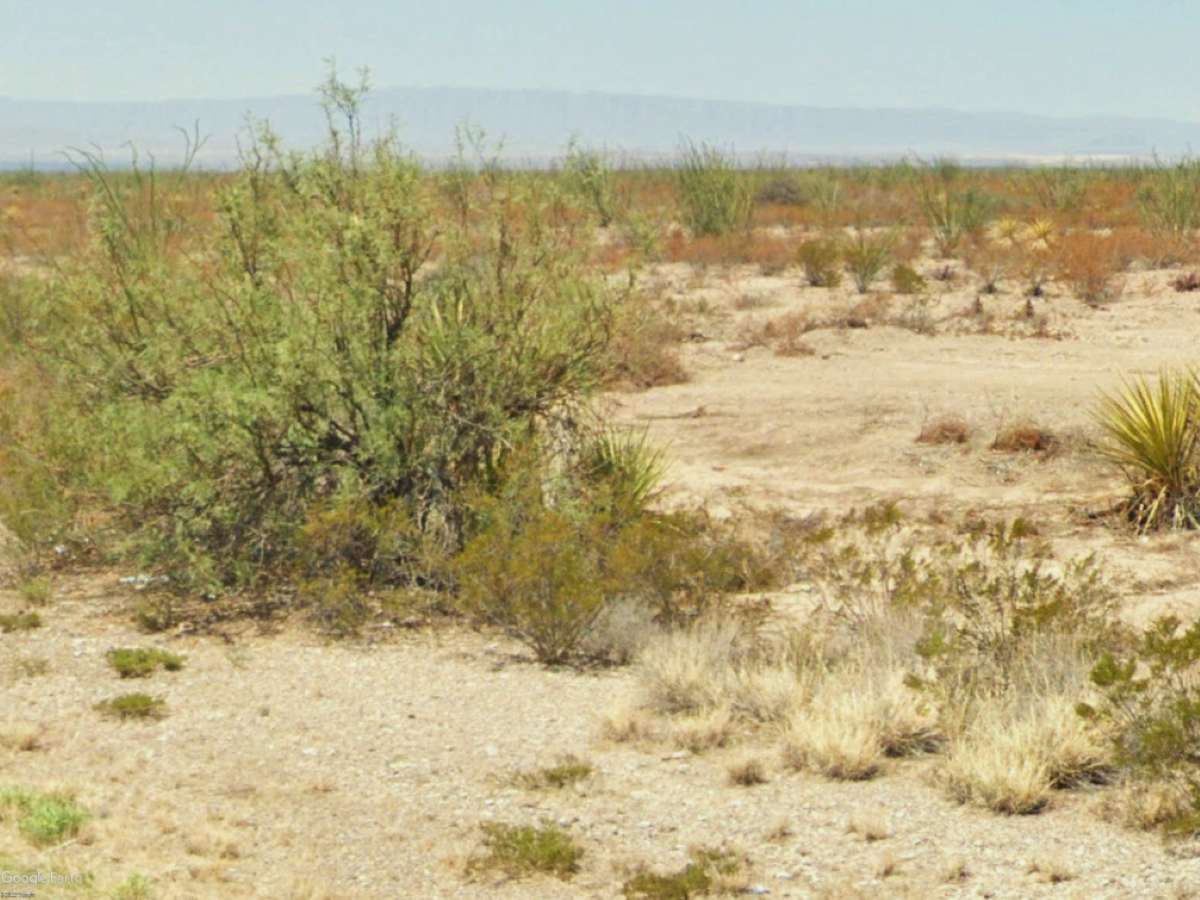 Redd woolf Camp