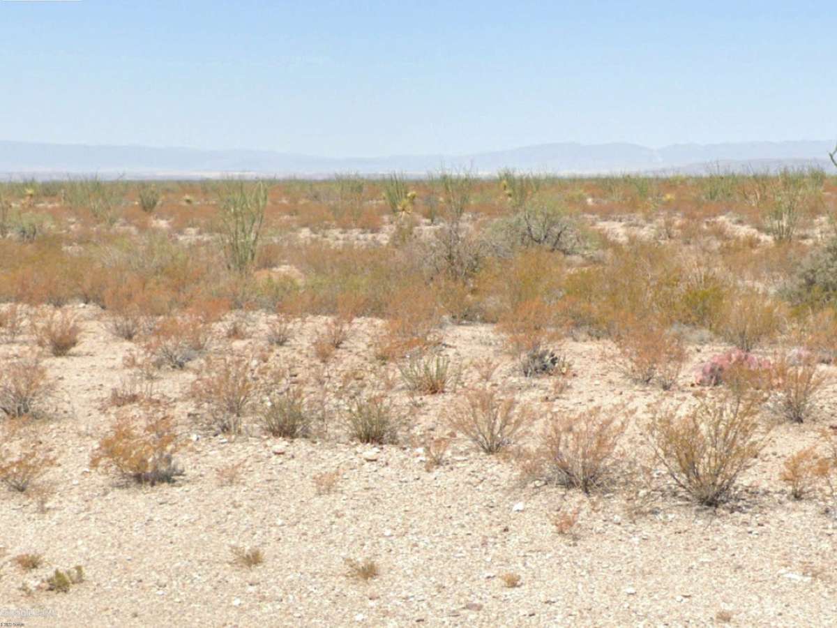 Redd woolf Camp