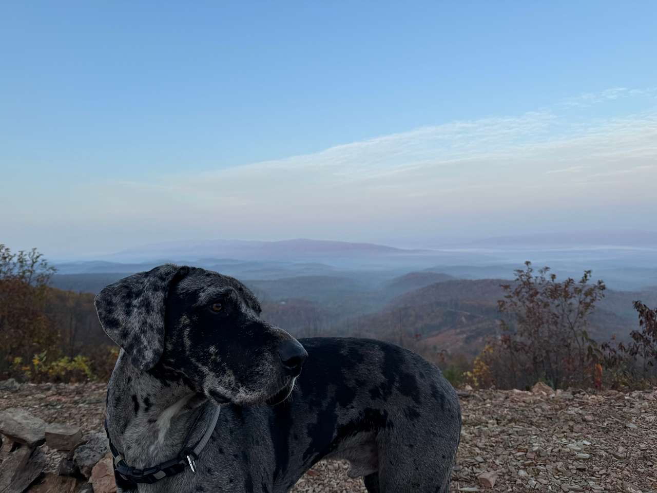 Private 235-Acre Mountain ⭐