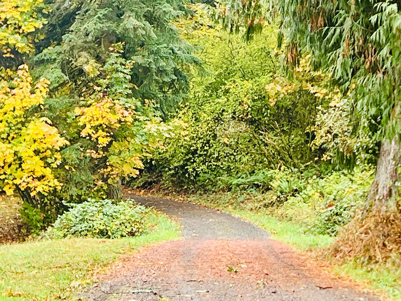 Frog’s Hollow