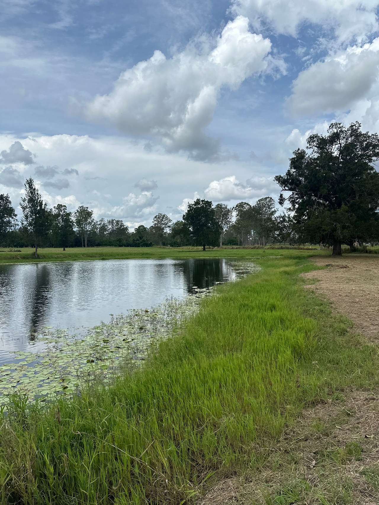 Lake P.S Camping Teebar Qld