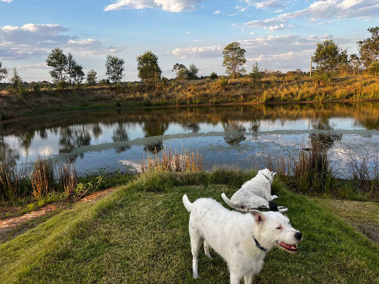 Coominya Farm Stay