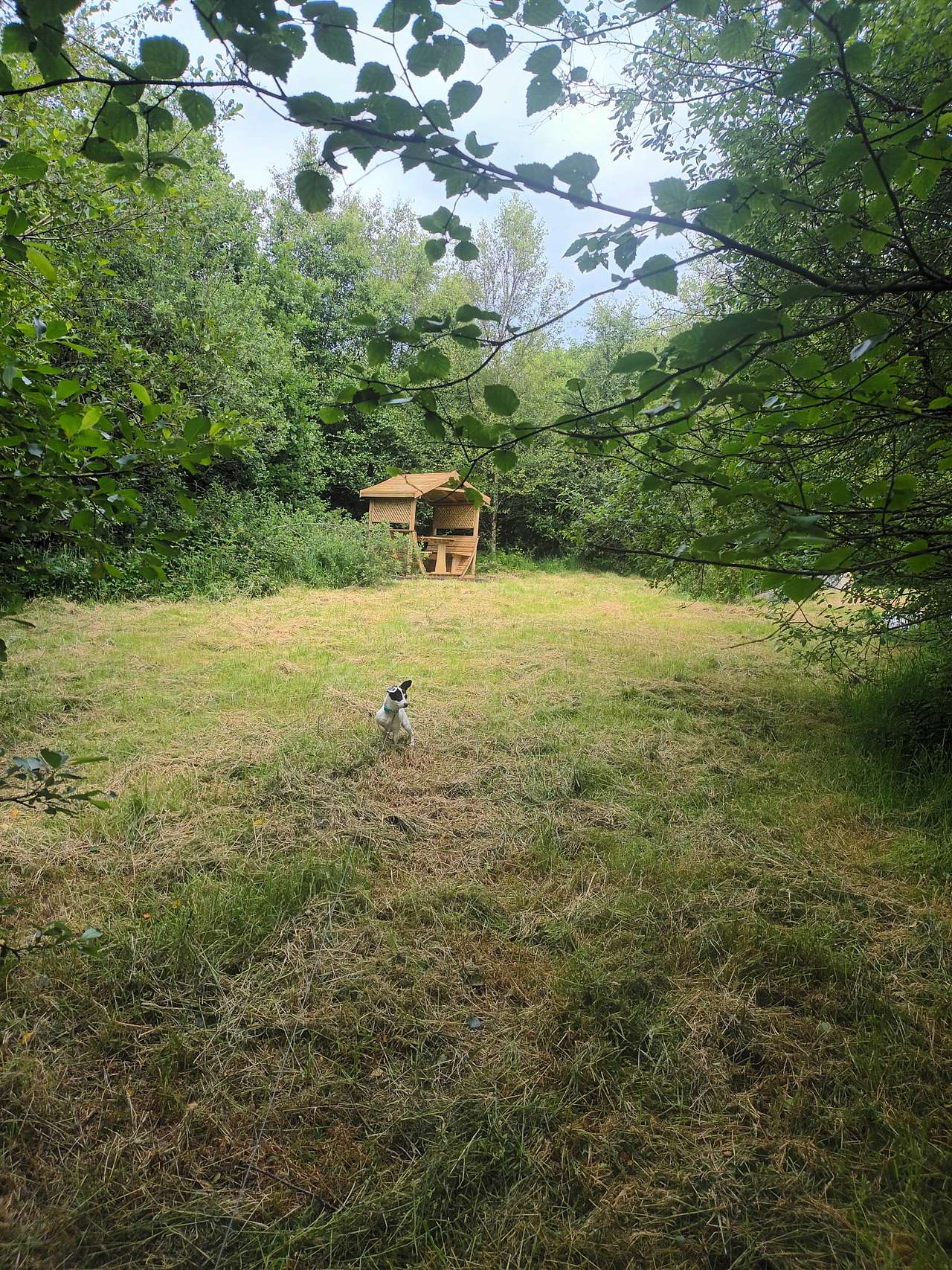 Cae Ddel Country Camping