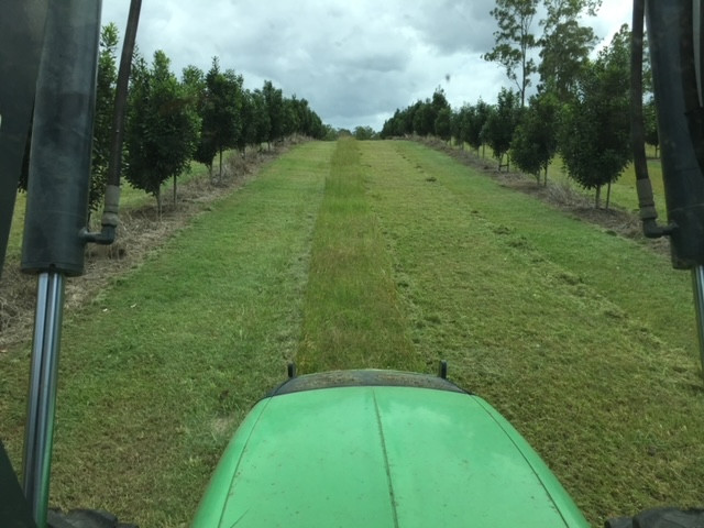 Island Acres