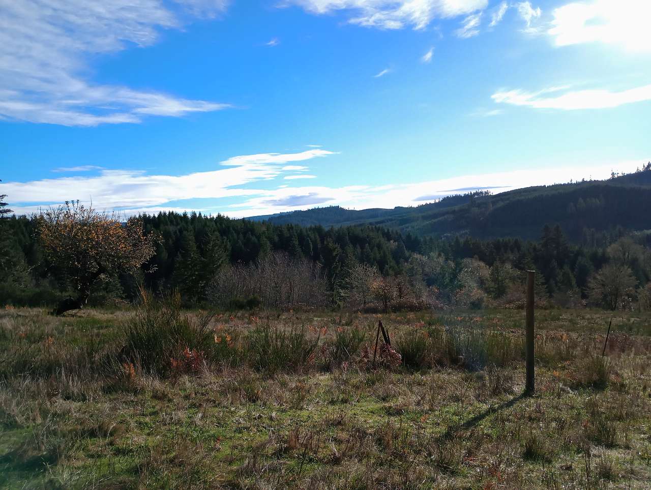 Woodland Hills Ranch