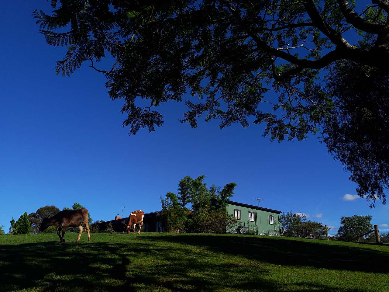 Maison de lavande Farmstay