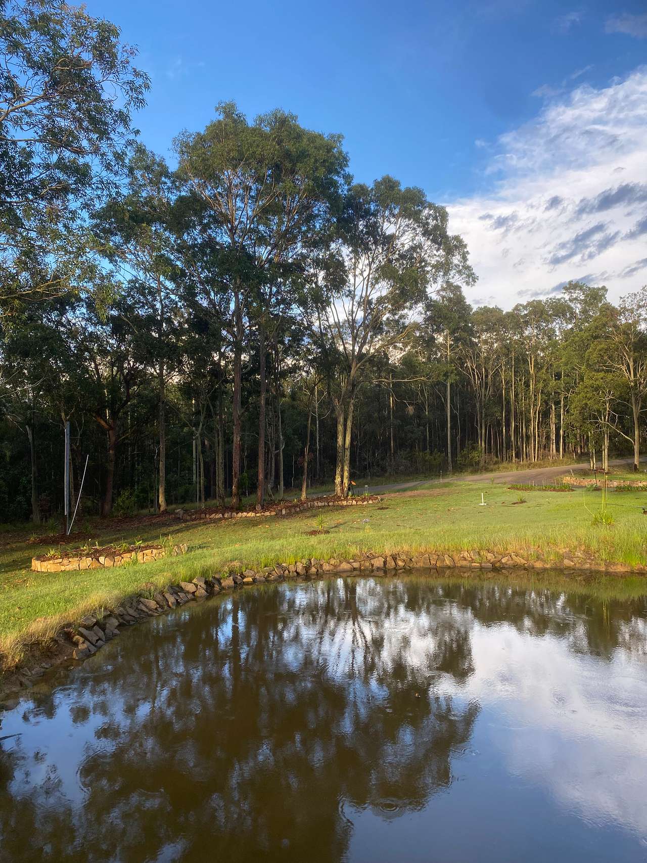 Wallaby Haven