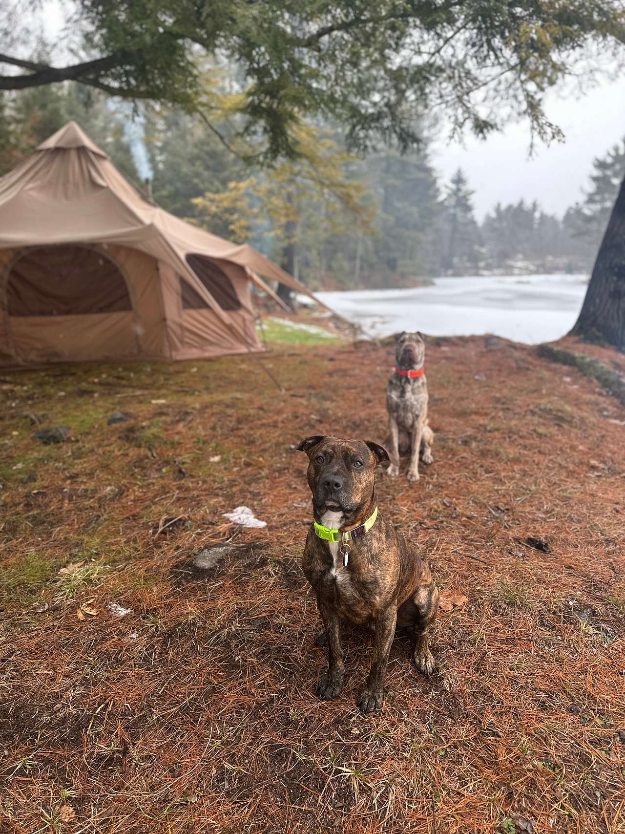 Hemlock Point Campground