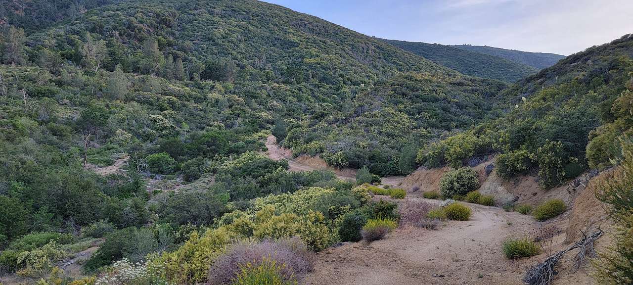The Hideout - 100+ Acres Oak Trees