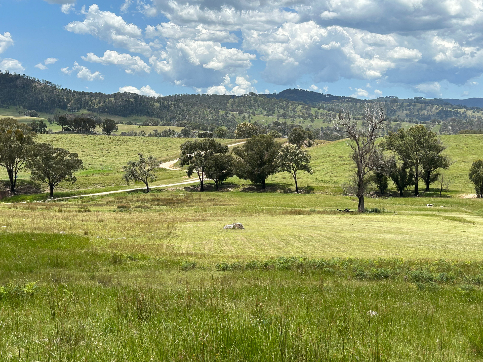 Craigview