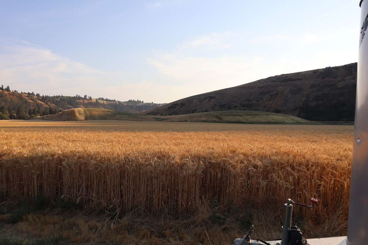 DeLong Family Farm