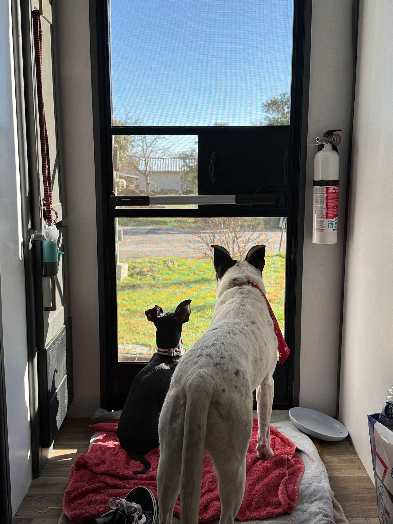 Friends In RV Spaces