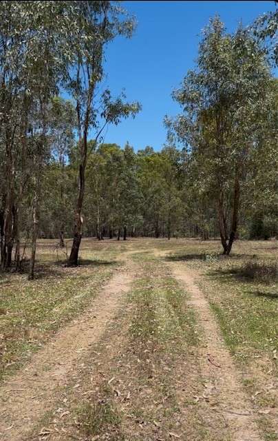 Amaroo On McLays