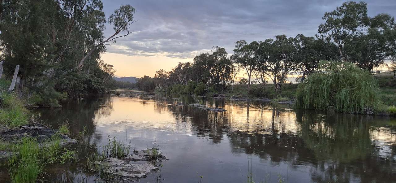 Newfarm ('Saliet') Bonshaw area NSW