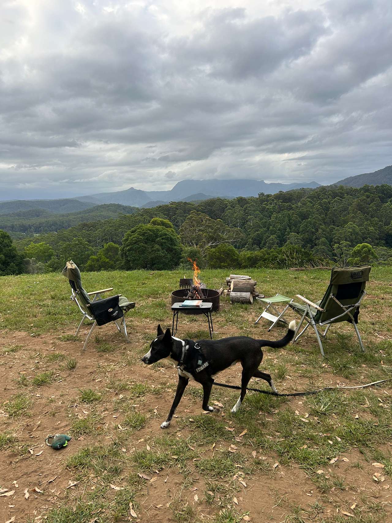 Great views of Mount Warning