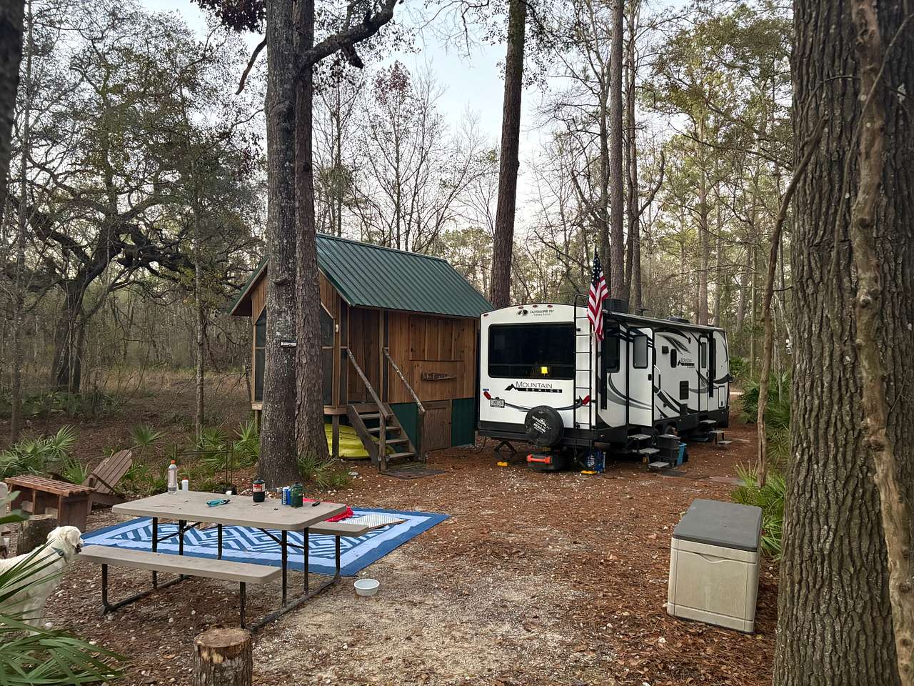 Cabin At Little River Springs