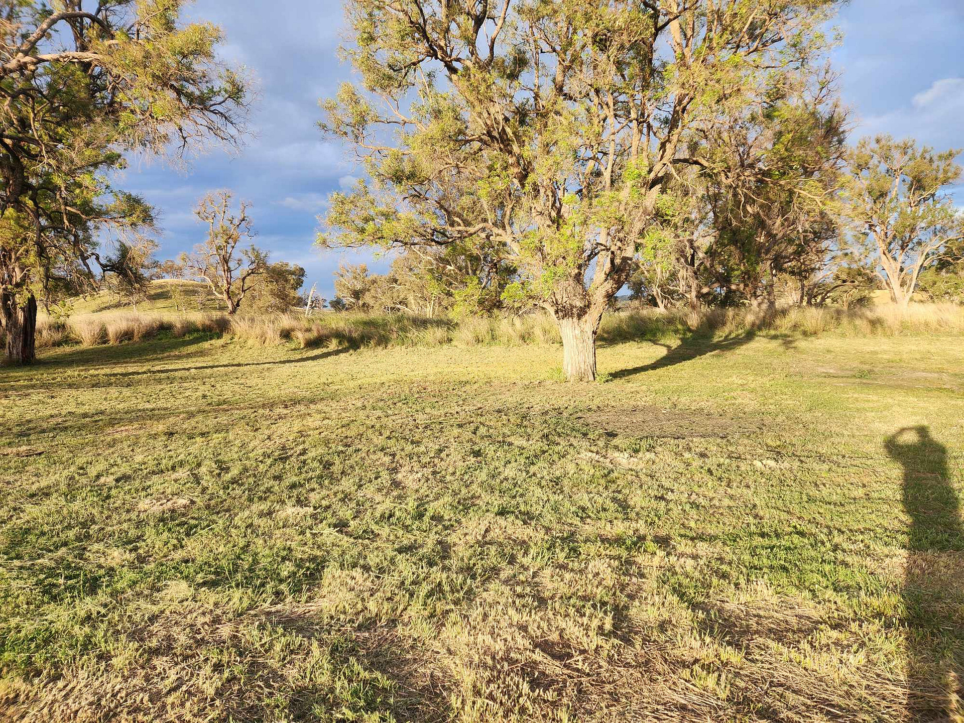  3A Camping Experience | Tamworth Region  