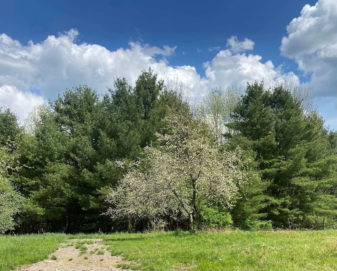 Ever After Farms NY, LLC