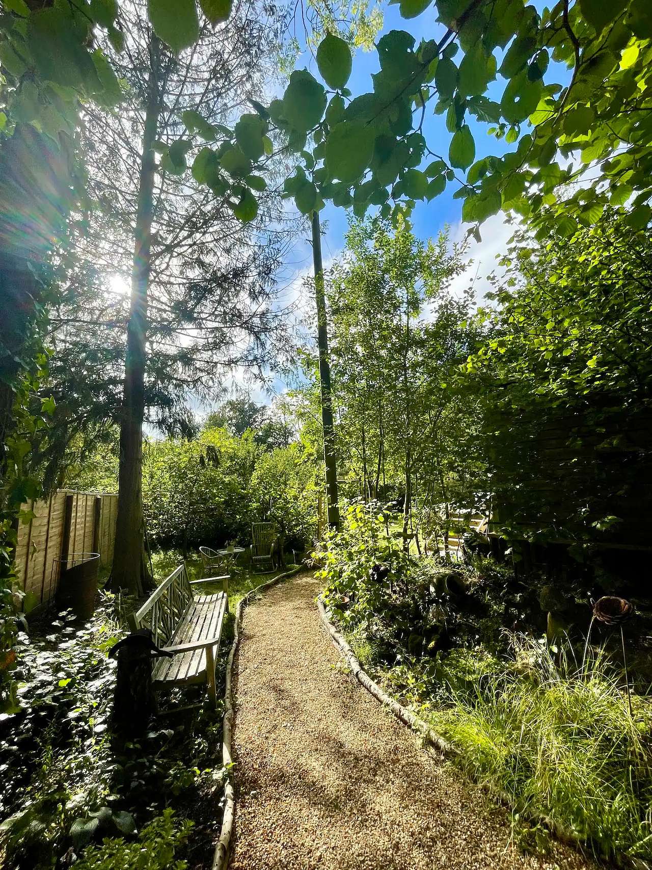 Acacia Bay Woodlands