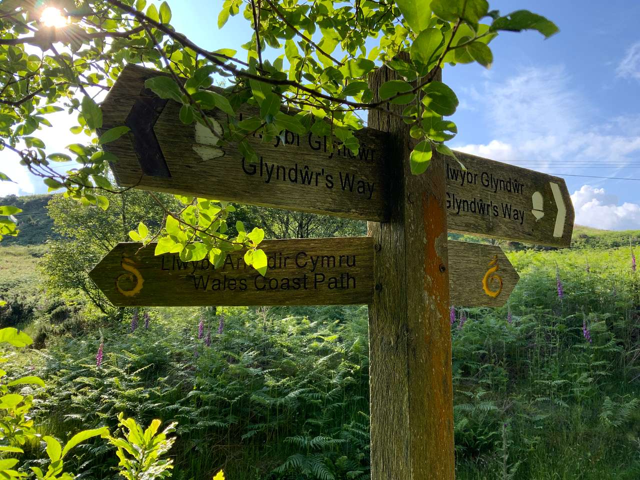 Gwersyllfa Glyndŵr Campsite