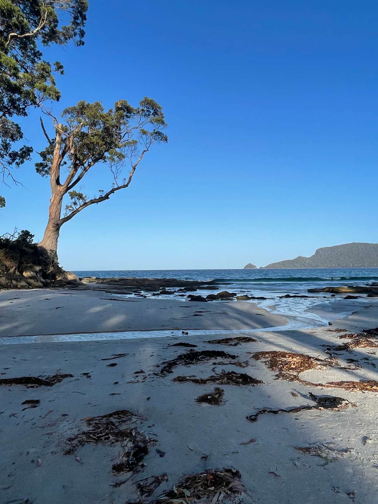 Gorgeous beach just across the road. 